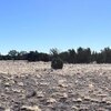 Photo of Mobile Home Lot