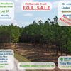RV Lot for Sale: Escape to your own 21+ acre retreat in The Woodlands of Buffalo River, Linden, TN