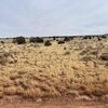 Photo of Mobile Home Lot