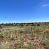Photo of Mobile Home Lot