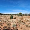Photo of Mobile Home Lot