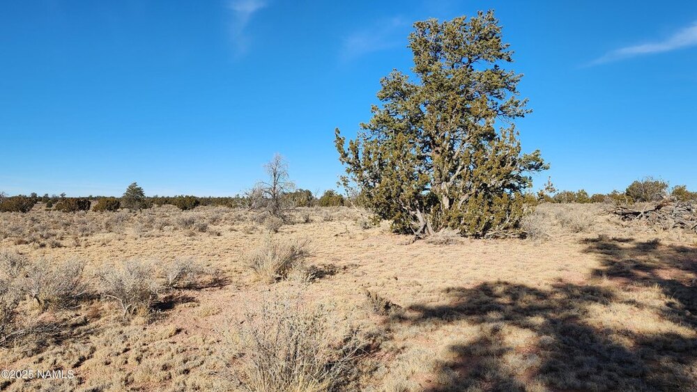 Photo of Mobile Home Lot
