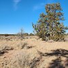 Photo of Mobile Home Lot
