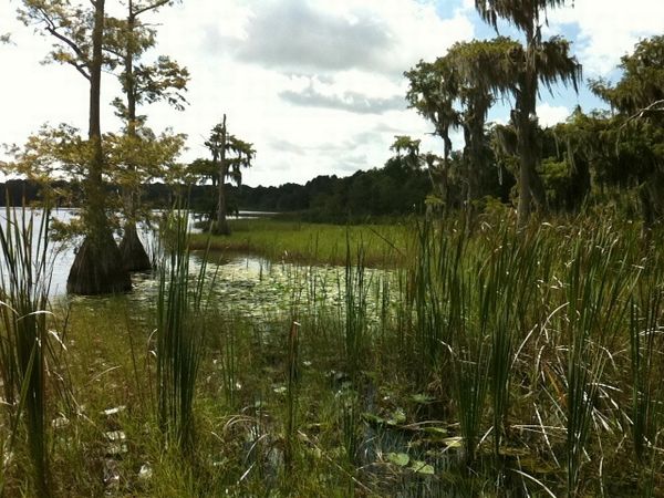 Lakeside Condominium Homesites