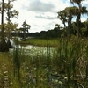 Mobile Home Park for Sale: Lakeside 55+ Condominium Homesite Community , Leesburg, FL