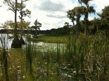Lakeside Condominium Homesites