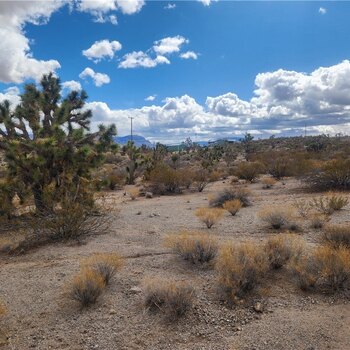 Photo of Mobile Home Lot