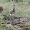 Photo of RV Park/Campground