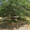 Mobile Home for Sale: 3 Bed 2 Bath 1988 Mobile Home