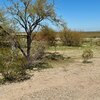 Photo of Mobile Home Lot