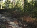 Photo of Mobile Home Lot