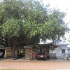 Photo of Mobile Home Park