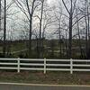Mobile Home for Sale: Mobile Home