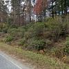 Mobile Home for Sale: 2 Bed 2 Bath 1999 Mobile Home