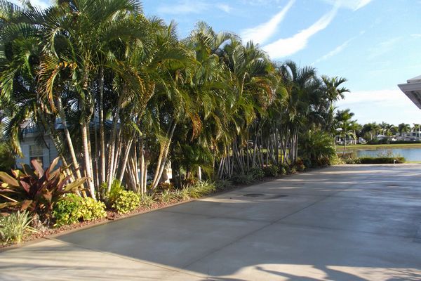 Photo of RV Lot