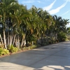 RV Lot for Sale: D-51 Cypress Woods RV Resort, Ft Myers, FL