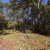 Photo of Mobile Home Lot