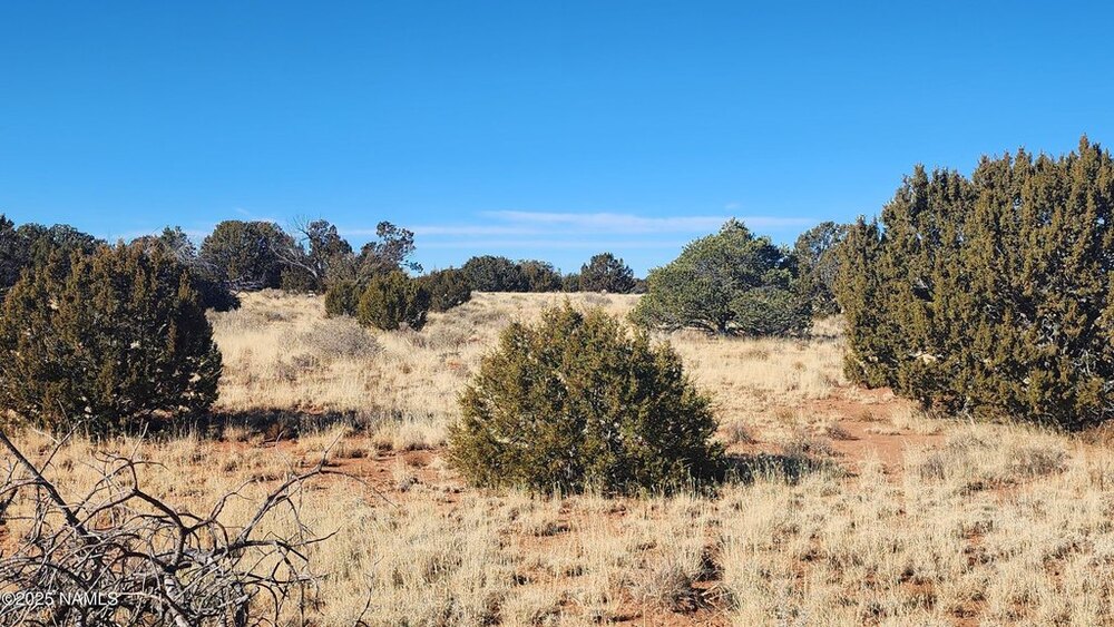 Photo of Mobile Home Lot
