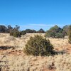 Photo of Mobile Home Lot