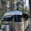 RV for Sale: 2017 INTERNATIONAL SIGNATURE 30RBQ