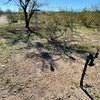 Photo of Mobile Home Lot