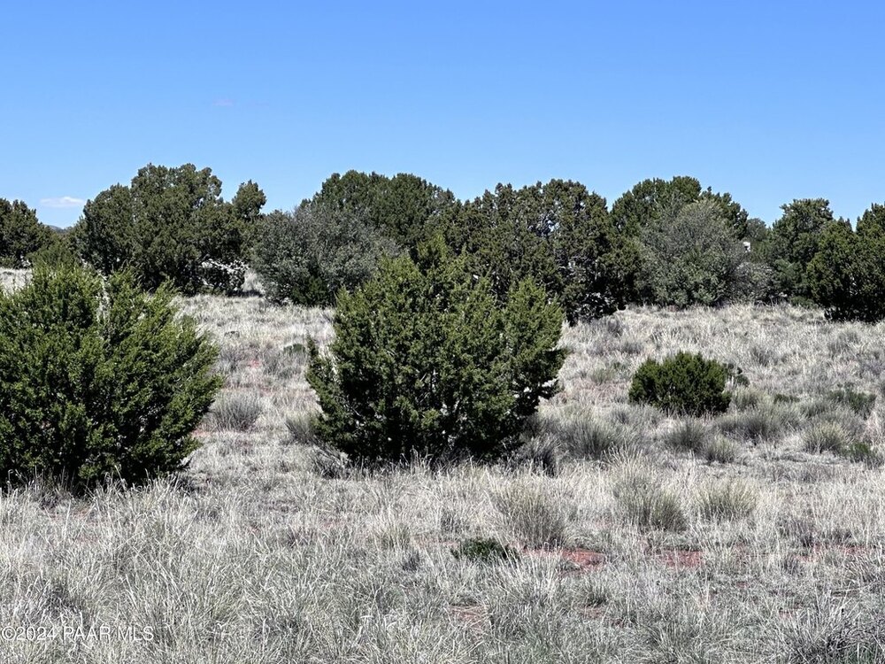 Photo of Mobile Home Lot