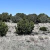 Photo of Mobile Home Lot