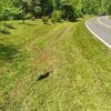 Mobile Home for Sale: Mobile Home