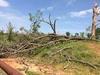 Photo of Mobile Home Lot