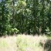 Photo of Mobile Home Lot