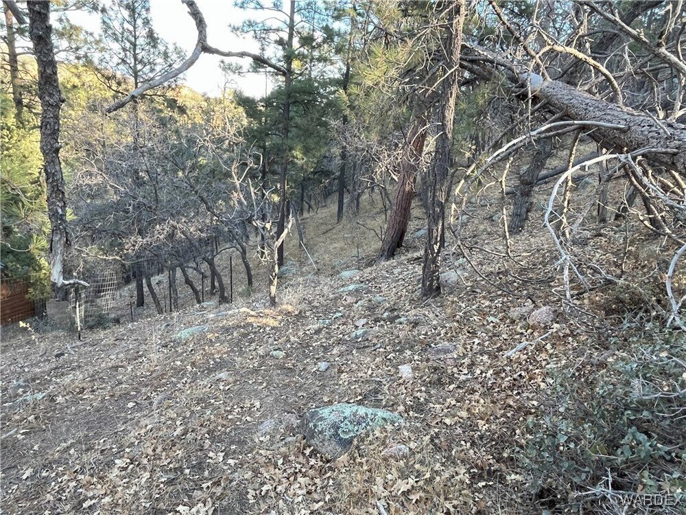 Photo of Mobile Home Lot