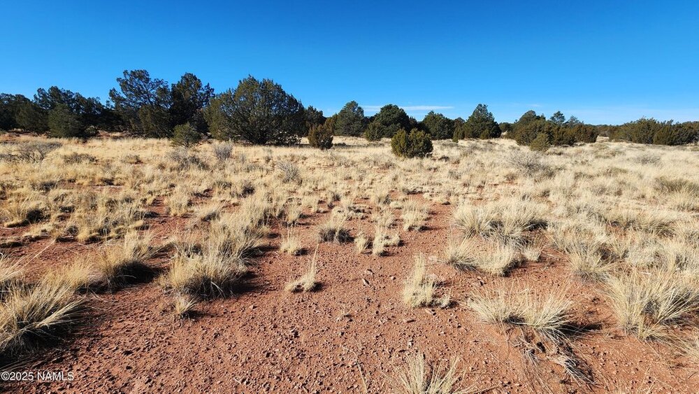 Photo of Mobile Home Lot