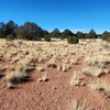 Photo of Mobile Home Lot