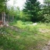 Photo of Mobile Home Lot
