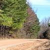 Mobile Home for Sale: 3 Bed 2 Bath 1984 Mobile Home
