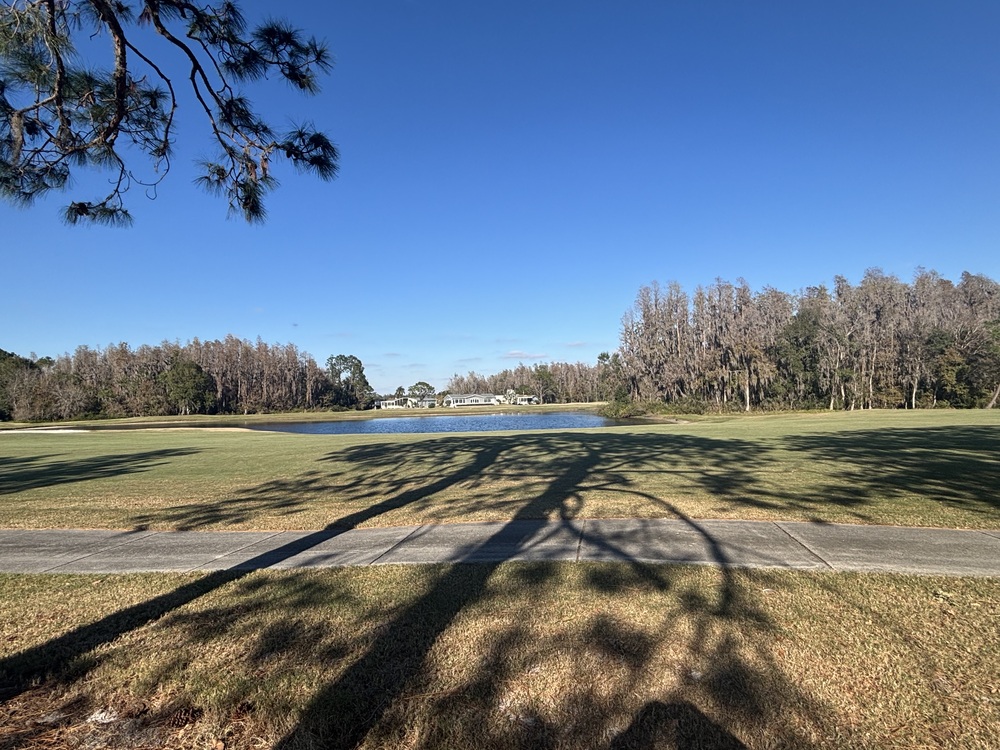Cypress Lakes Village