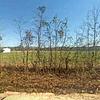 Mobile Home for Sale: 4 Bed 2 Bath 2001 Mobile Home