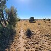 Photo of Mobile Home Lot