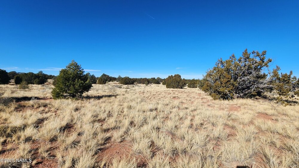 Photo of Mobile Home Lot