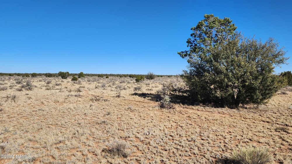 Photo of Mobile Home Lot