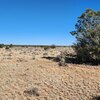Photo of Mobile Home Lot