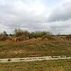 Mobile Home for Sale: 1990 Mobile Home