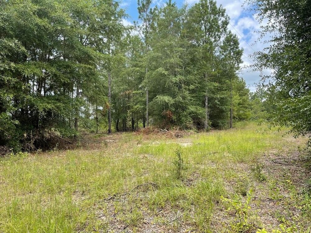 Photo of Mobile Home Lot