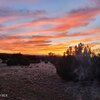 Photo of Mobile Home Lot