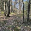 Photo of Mobile Home Lot
