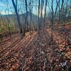 Photo of Mobile Home Lot