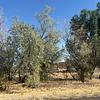 Mobile Home for Sale: 1979 Mobile Home