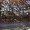 Mobile Home for Sale: 2 Bed 1 Bath 1991 Mobile Home