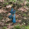 Photo of Mobile Home Lot