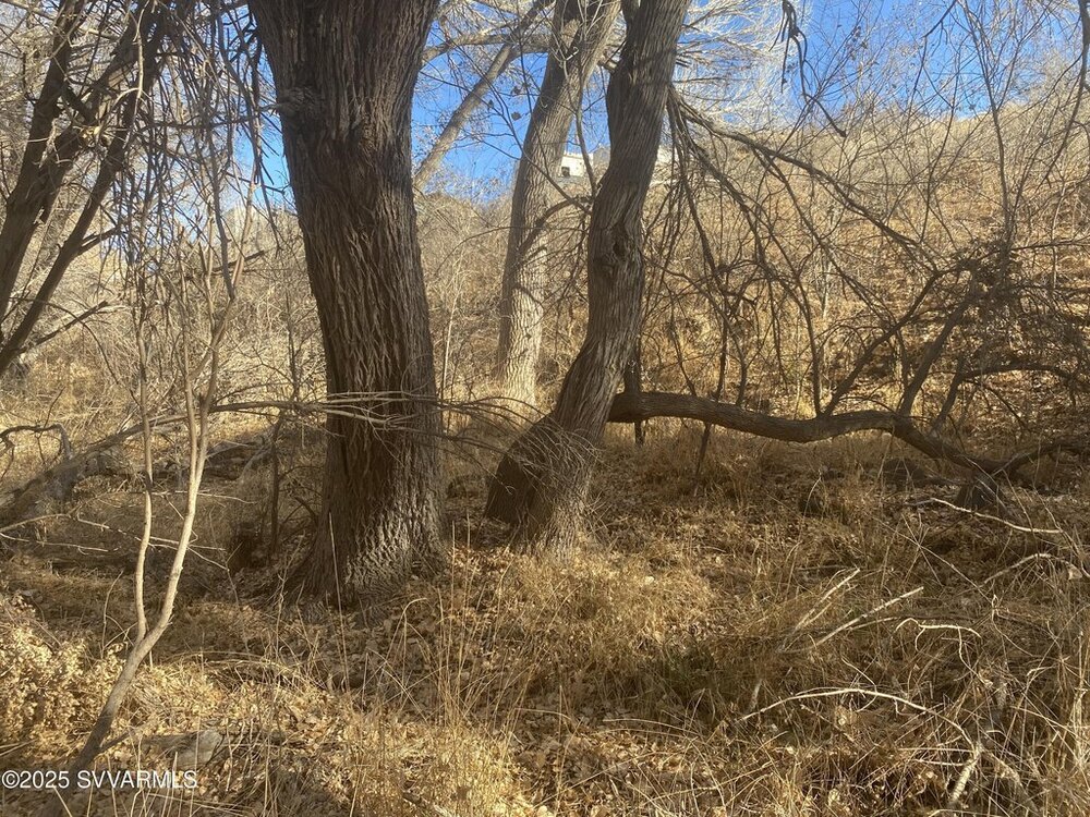 Photo of Mobile Home Lot